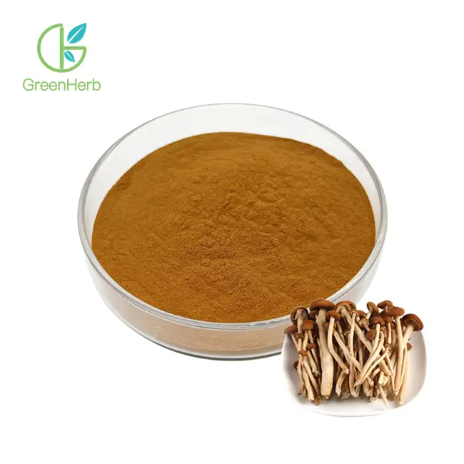 Agrocybe Aegerita Extract